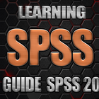 Learn SPSS Manual 20 Basic アイコン