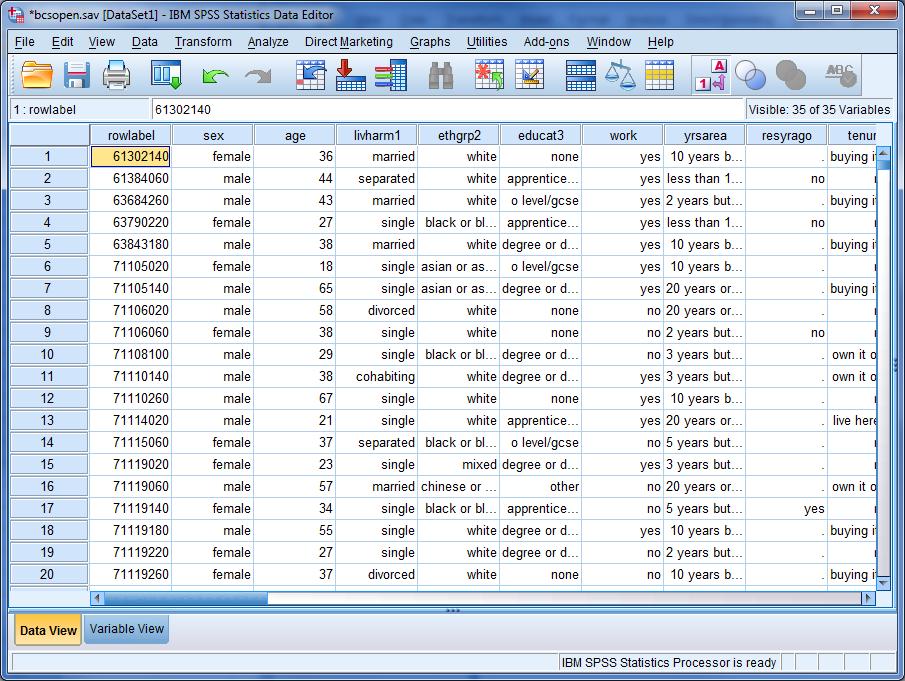 scaricare spss italiano