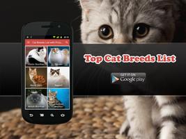 40+ Most Popular Cat Breeds الملصق