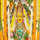 Telugu Bonalu Songs APK