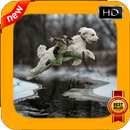 Giant Dog Photo Frames APK