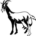 東來炒羊肉 Zeichen