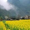 Hagiang y