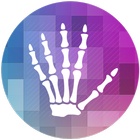 Anatomía de la mano icône
