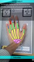 Anatomía de la mano Affiche