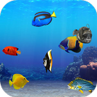 Guide Tap Tap Fish AbyssRium icône