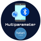 Multiparameter icône