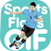 Flag & Sport GIF Collection
