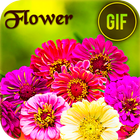 Flower Gif icône