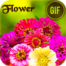 Flower Gif APK