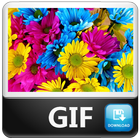 Gif de Flores आइकन