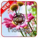 Flower GIF Collection APK