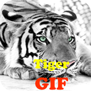 Tiger GIF APK