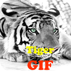 Tiger GIF simgesi