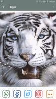 Tiger GIF Ekran Görüntüsü 1