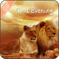 Good Evening GIF 2021