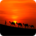 HD Gionee Wallpaper