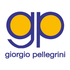 Giorgio Pellegrini icône