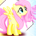 Fluttershy Wallpaper