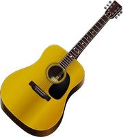 Learning Acoustic Guitar پوسٹر