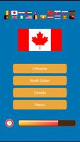 World Flag Country Quiz capture d'écran 2