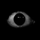 Fingerprint Death Predictor Pr APK