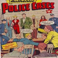 Police Cases 1 poster