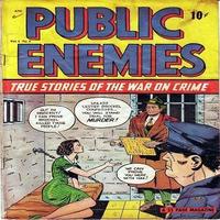 Public Enemies 海報