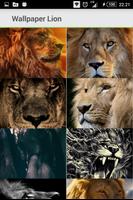 Lions Wallpaper ảnh chụp màn hình 1