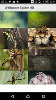 New Wallpaper Spider اسکرین شاٹ 1