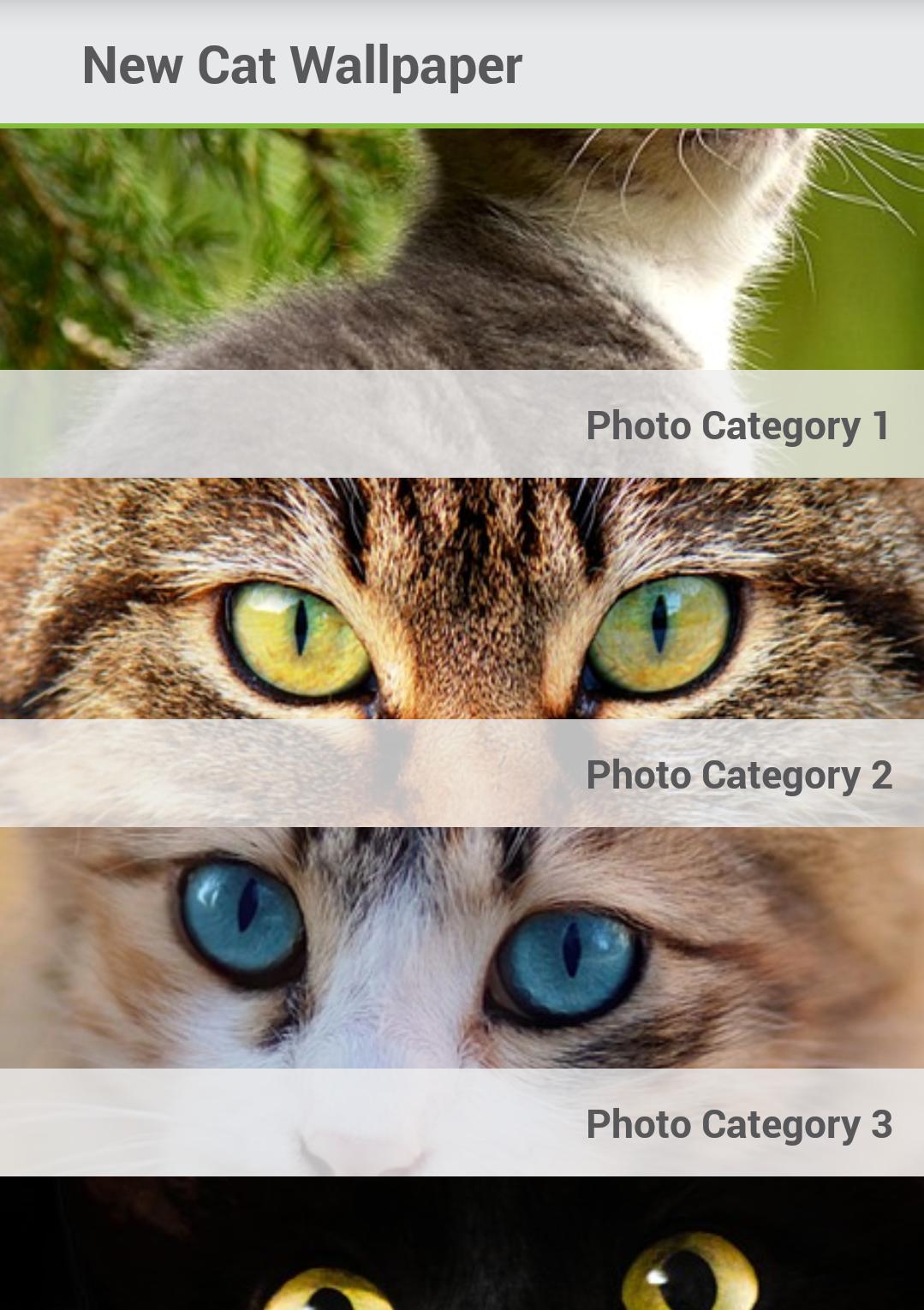 Wallpaper Kucing Lucu For Android APK Download