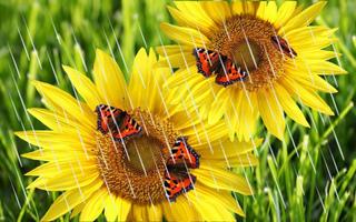 Butterflies n Sunflowers Live wallpaper screenshot 3
