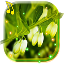 Lilies Valley May Live Wallpaper APK