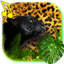 Panthers live wallpaper APK