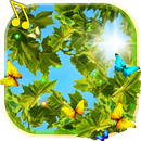 Summer Sun live wallpaper APK