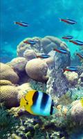 Underwater Fishes Live Wallpaper โปสเตอร์