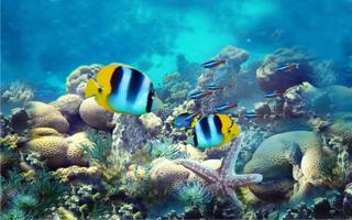 Underwater Fishes Live Wallpaper 스크린샷 3