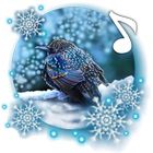 Winter Birds Live Wallpaper icône
