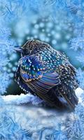 Winter Birds Live Wallpaper capture d'écran 1