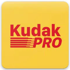 KD Pro Disposable Camera APK Herunterladen