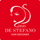 Gino De Stefano icon