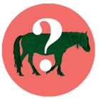 Chincoteague Pony Watch icône
