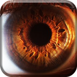 Macro Ojos HD Live Wallpaper