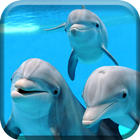 Icona Underwater Dolphins Live Wallp