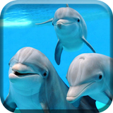 Sous-marin dauphins  Live icône