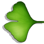 Ginkgo Audiobook Player icon