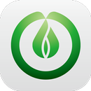 Scent-palm APK