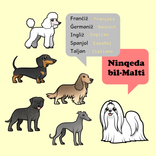 Ninqeda bil-Malti