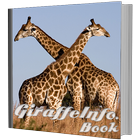 Girraffe Info Book иконка