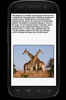 Girraffe Info Book постер